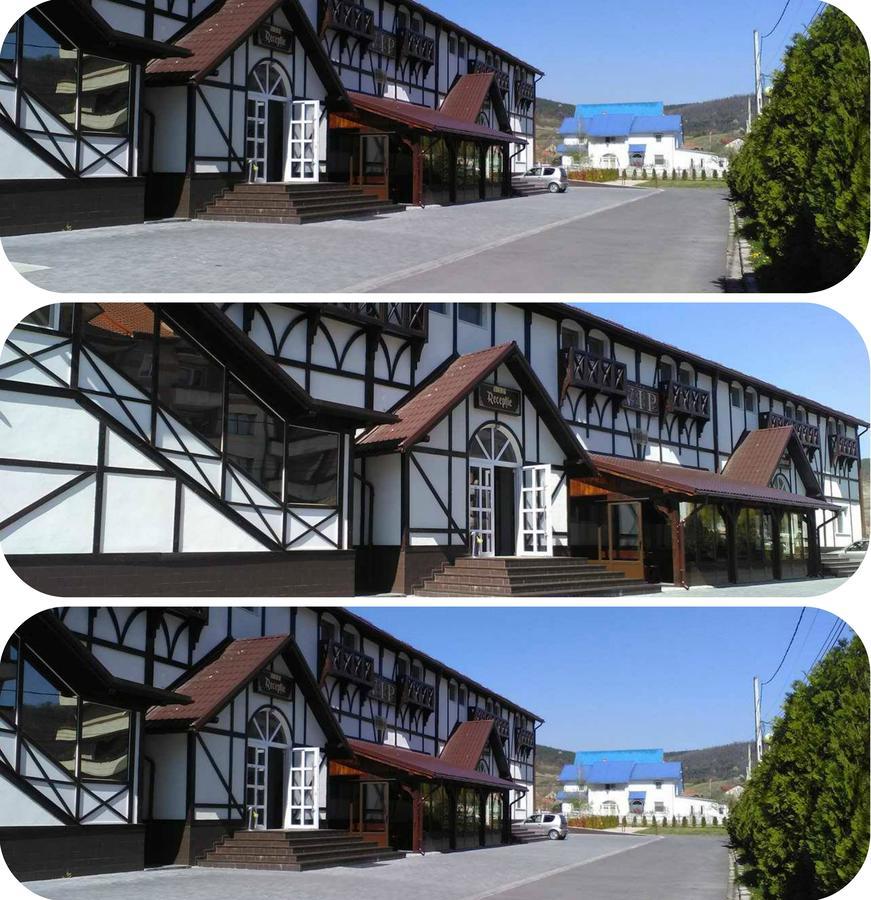Vip Motel Restaurant Hateg Exterior photo